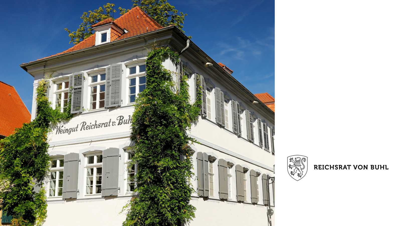 reichsrat von buhl
